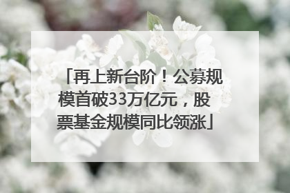 再上新台阶！公募规模首破33万亿元，股票基金规模同比领涨