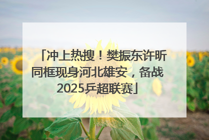 冲上热搜！樊振东许昕同框现身河北雄安，备战2025乒超联赛