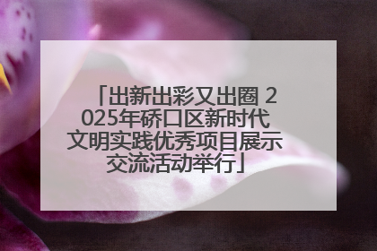 出新出彩又出圈 2025年硚口区新时代文明实践优秀项目展示交流活动举行