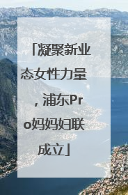 凝聚新业态女性力量，浦东Pro妈妈妇联成立