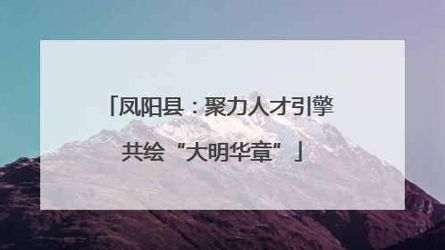 凤阳县：聚力人才引擎 共绘“大明华章”