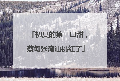 初夏的第一口甜，蔡甸张湾油桃红了