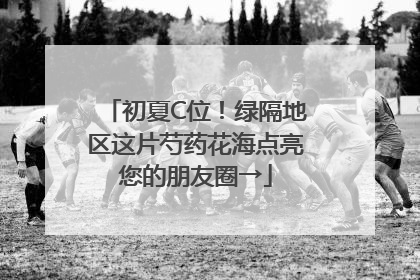 初夏C位！绿隔地区这片芍药花海点亮您的朋友圈→