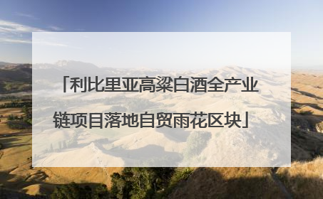 利比里亚高粱白酒全产业链项目落地自贸雨花区块