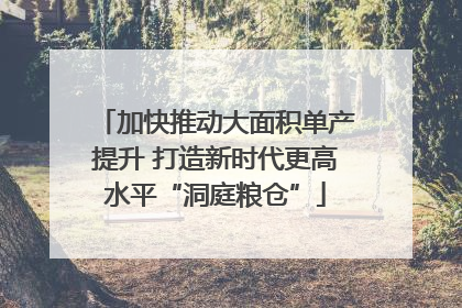加快推动大面积单产提升 打造新时代更高水平“洞庭粮仓”