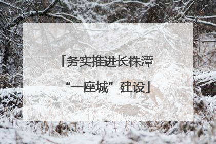 务实推进长株潭“一座城”建设