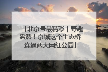 北京号最精彩｜野趣盎然！京城这个生态桥连通两大网红公园