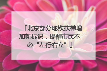 北京部分地铁扶梯增加新标识，提醒市民不必“左行右立”