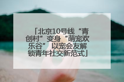北京10号线“青创村”变身“萌宠欢乐谷” 以宠会友解锁青年社交新范式
