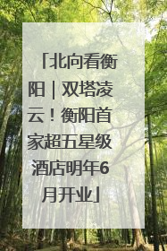 北向看衡阳｜双塔凌云！衡阳首家超五星级酒店明年6月开业