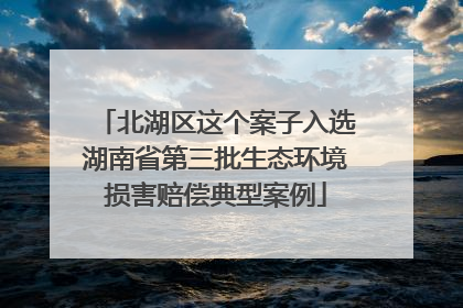 北湖区这个案子入选湖南省第三批生态环境损害赔偿典型案例