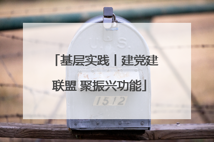 基层实践丨建党建联盟 聚振兴功能