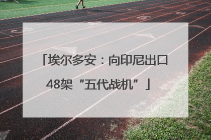 埃尔多安：向印尼出口48架“五代战机”