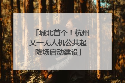 城北首个！杭州又一无人机公共起降场启动建设