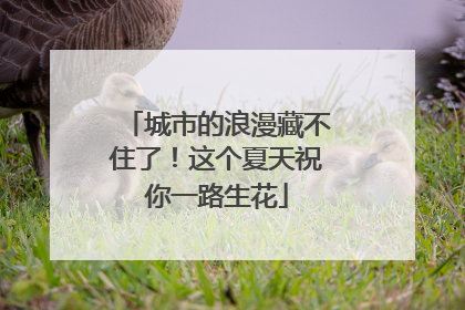 城市的浪漫藏不住了！这个夏天祝你一路生花