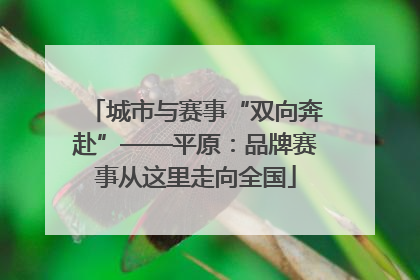 城市与赛事“双向奔赴”——平原：品牌赛事从这里走向全国