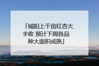 城阳上千亩红杏大丰收 预计下周各品种大面积成熟