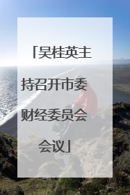 吴桂英主持召开市委财经委员会会议