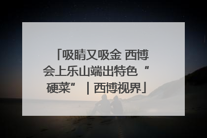 吸睛又吸金 西博会上乐山端出特色“硬菜”｜西博视界