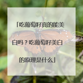 吃葡萄籽真的能美白吗？吃葡萄籽美白的原理是什么