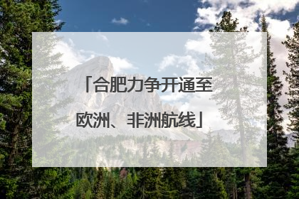 合肥力争开通至欧洲、非洲航线