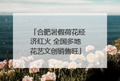合肥暑假荷花经济红火 全国多地花艺文创销售旺