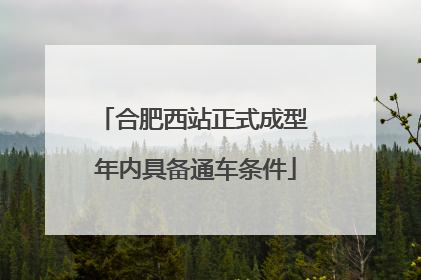合肥西站正式成型 年内具备通车条件