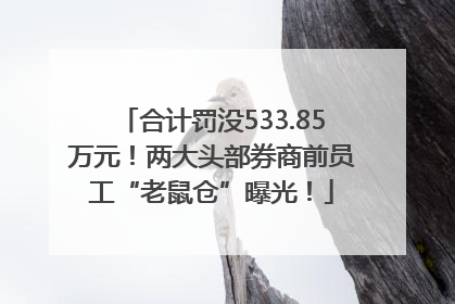 合计罚没533.85万元！两大头部券商前员工“老鼠仓”曝光！