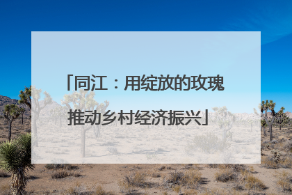同江：用绽放的玫瑰 推动乡村经济振兴