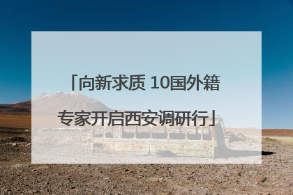 向新求质 10国外籍专家开启西安调研行