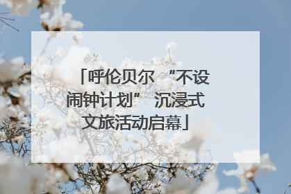 呼伦贝尔 “不设闹钟计划” 沉浸式文旅活动启幕