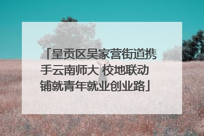 呈贡区吴家营街道携手云南师大 校地联动铺就青年就业创业路