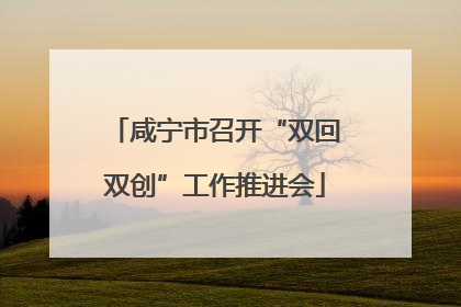 咸宁市召开“双回双创”工作推进会