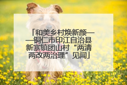 和美乡村焕新颜——铜仁市印江自治县新寨镇团山村“两清两改两治理”见闻
