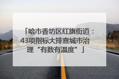 哈市香坊区红旗街道：43项指标大排查城市治理“有数有温度”