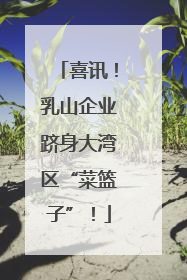 喜讯！乳山企业跻身大湾区“菜篮子”！