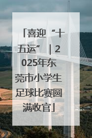 喜迎“十五运”｜2025年东莞市小学生足球比赛圆满收官
