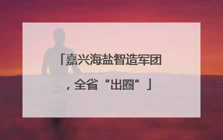 嘉兴海盐智造军团，全省“出圈”