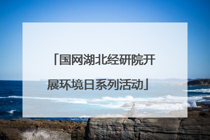 国网湖北经研院开展环境日系列活动