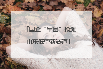 国企“军团”抢滩山东低空新赛道