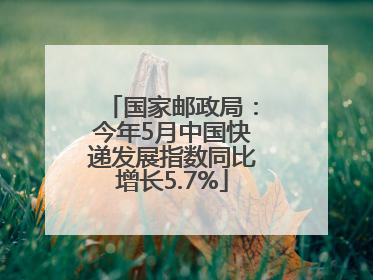 国家邮政局：今年5月中国快递发展指数同比增长5.7%