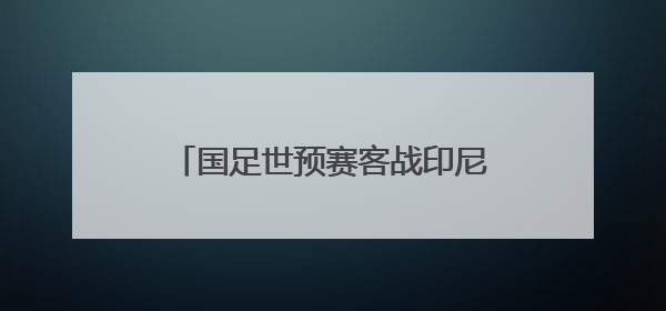 国足世预赛客战印尼25人大名单出炉