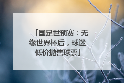 国足世预赛：无缘世界杯后，球迷低价抛售球票