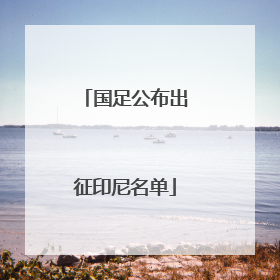 国足公布出征印尼名单