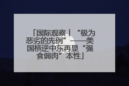 国际观察丨“极为恶劣的先例”——美国横逆中东再显“强食弱肉”本性