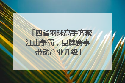 四省羽球高手齐聚江山争霸，品牌赛事带动产业升级