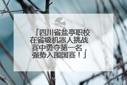四川省盐亭职校在省级机器人挑战赛中勇夺第一名，强势入围国赛！