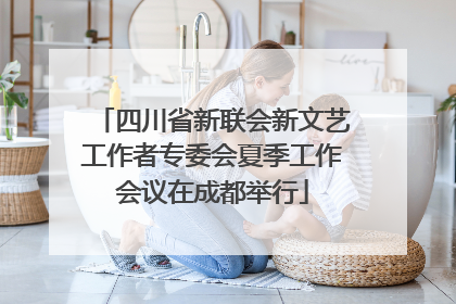 四川省新联会新文艺工作者专委会夏季工作会议在成都举行