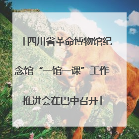 四川省革命博物馆纪念馆“一馆一课”工作推进会在巴中召开