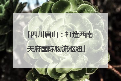 四川眉山：打造西南天府国际物流枢纽